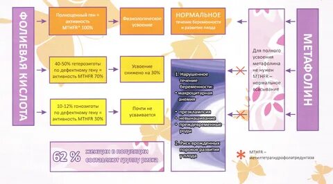Фолиевая планирование сколько