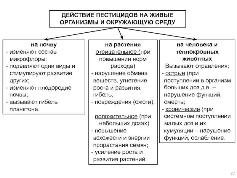 Пестициды влияние на человека. Влияние пестицидов на живые организмы. Воздействие пестицидов на окружающую среду схема. Влияние пестицидов на окружающую среду. Схема влияние пестицидов на человека.