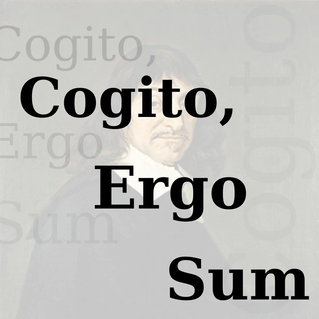 Эрго сум. Когито Эрго сум Декарт. Cogito Ergo sum картинки. Cogito Ergo sum ответ. Когито Эрго сум на латыни.
