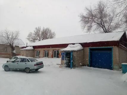 Ветклиника орск
