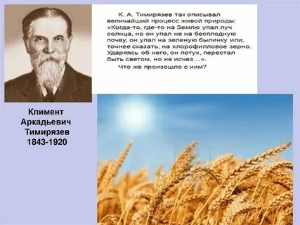Тимирязев это