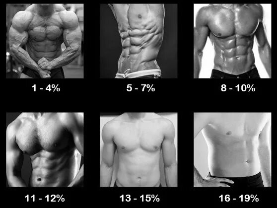 10 процентов мужчин. Процент жира. 15 Процентов жира в организме. % Жира в организме мужчины. Процент жира у мужчин наглядно.