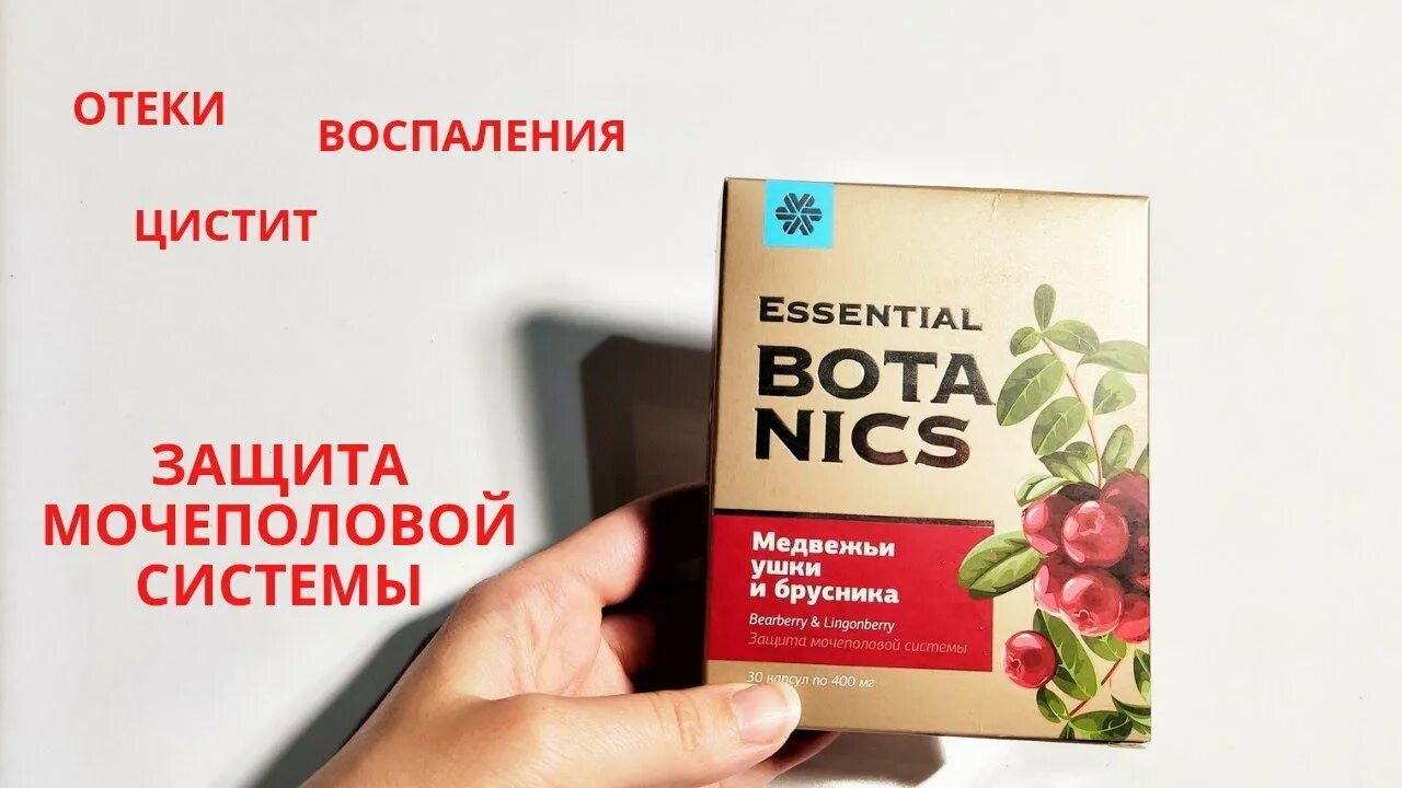 Медвежьи ушки и брусника essential botanics отзывы. Медвежьи ушки Сибирское здоровье. Медвежьи ушки от Сибирского здоровья. Медвежья брусника Сибирское здоровье. Медвежьи ушки и брусника Сибирское здоровье.