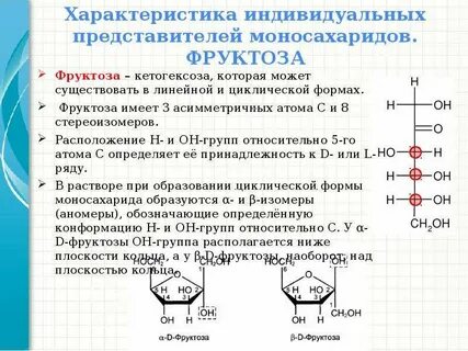 Лабораторная работа 6 класс биология углеводы