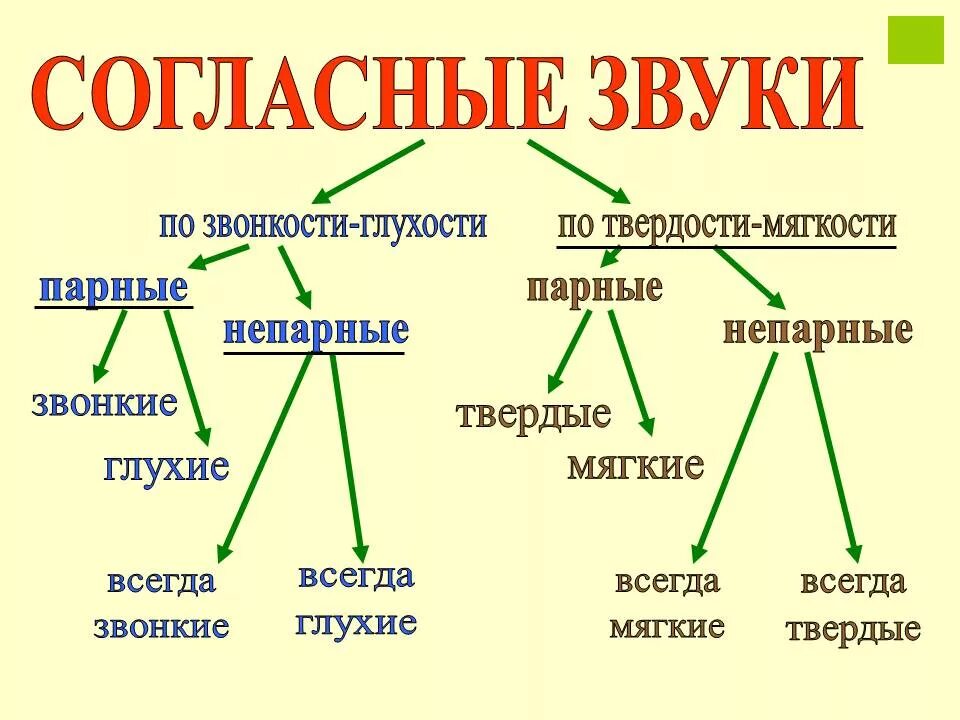 Согласные по глухости звонкости и твердости мягкости. Парные по глухости-звонкости согласные и твердости мягкости. Таблица по глухости звонкости мягкости твердости согласных звуков. Согласные парные и непарные по твёрдости-мягкости звонкие и глухие. Парный непарный по твердости мягкости