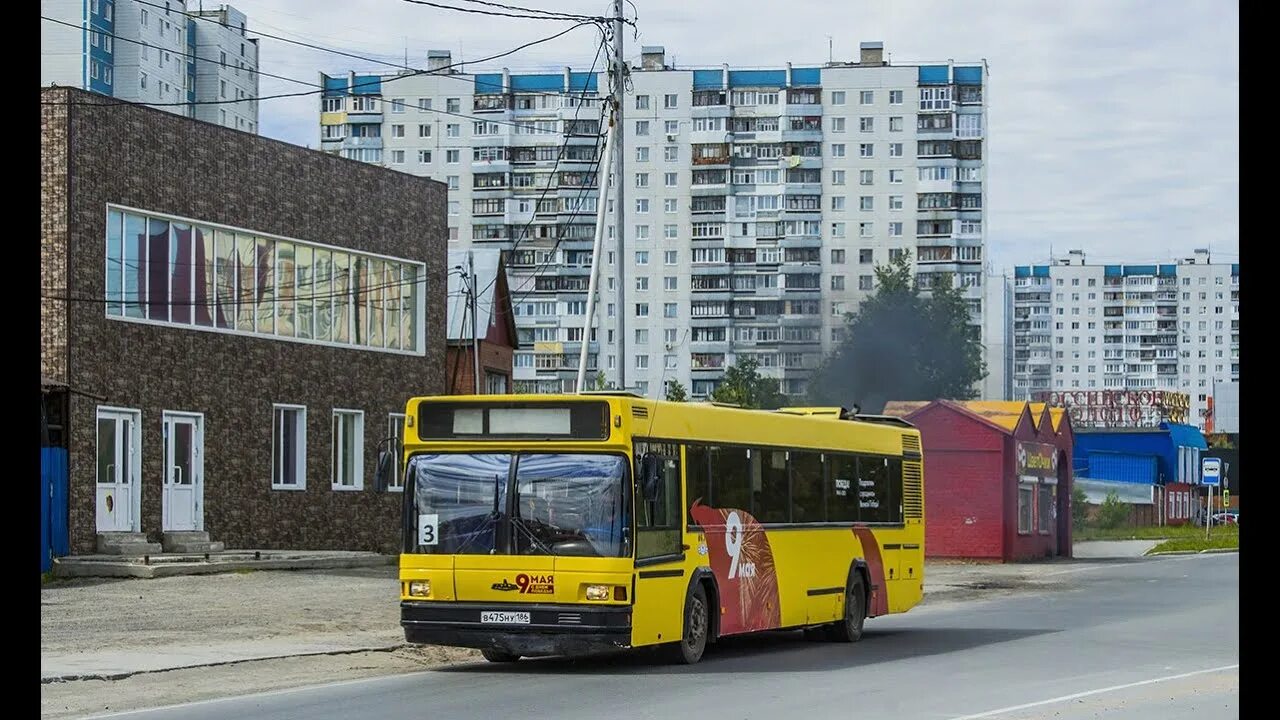 075. 075. Маз 103. 075. Автобус 1138 спб.