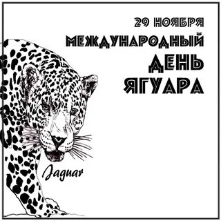 Всемирный день ягуара