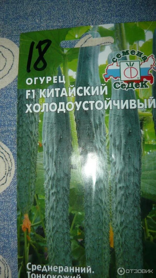 Семена огурцов китайский холодоустойчивый. Огурец китайский холодоустойчивый f1 0. Семена огурцов китайский холодоустойчивый. Огурец китайский холодоустойчивый f1. Огурец китайский холодоустойчивый f1.