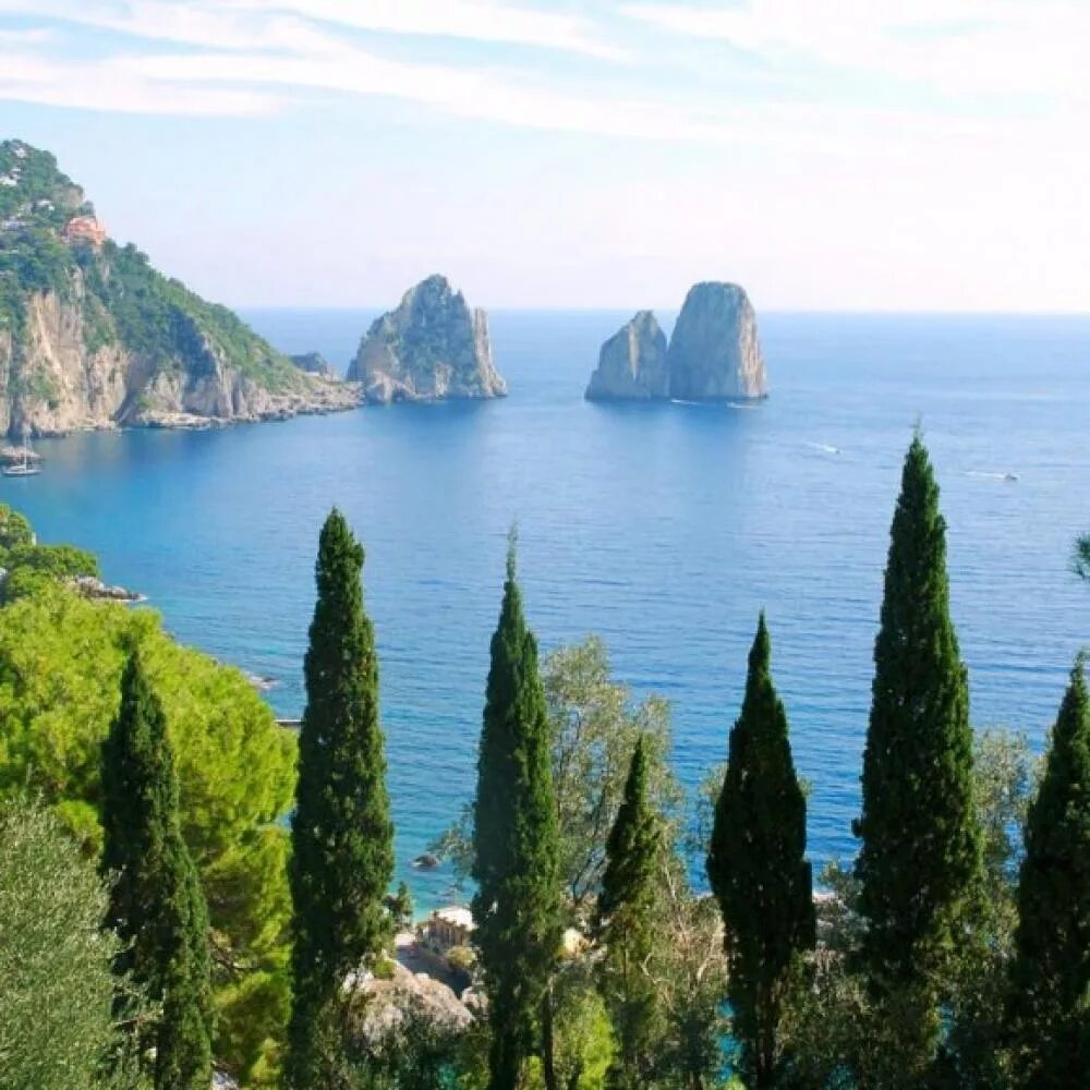 Кипарисы Ялта море