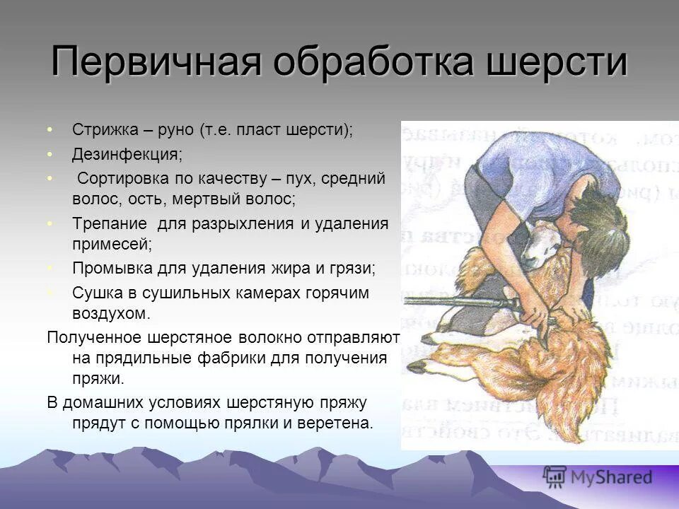Обработка значение. Первичная обработка шерчои. первичная обработка шерсти. этапы первичной обработки шерсти. первичная обработка шерсти состоит из.
