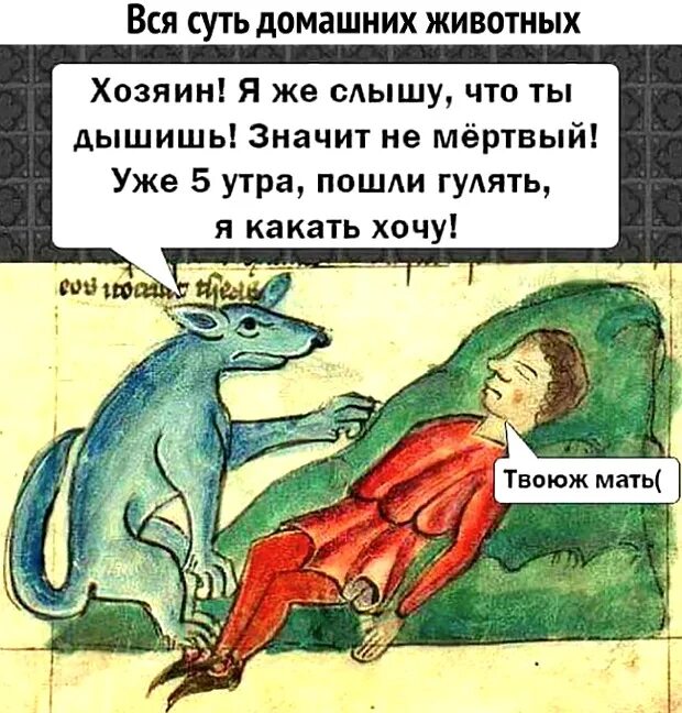 Утром пойдешь. Хозяин вставай. Хозяин я какать хочу. Страдающее средневековье хозяин. Хозяин вставай страдающее средневековье.