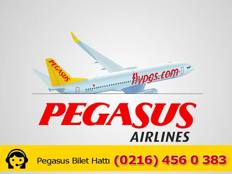 Пегасус купить авиабилеты на официальном сайте. Pegasus Airlines. Pegasus Airlines лого. Пегасус авиакомпания Pegasus Airlines. Билет Пегасус.