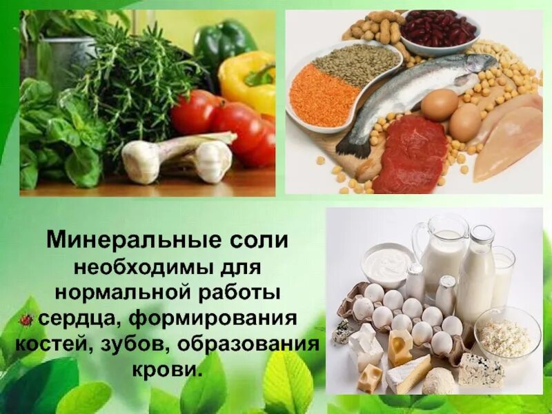 Минеральные соли. Источники Минеральных солей в продуктах. Минеральные соли продукты. Минеральные соли источники.