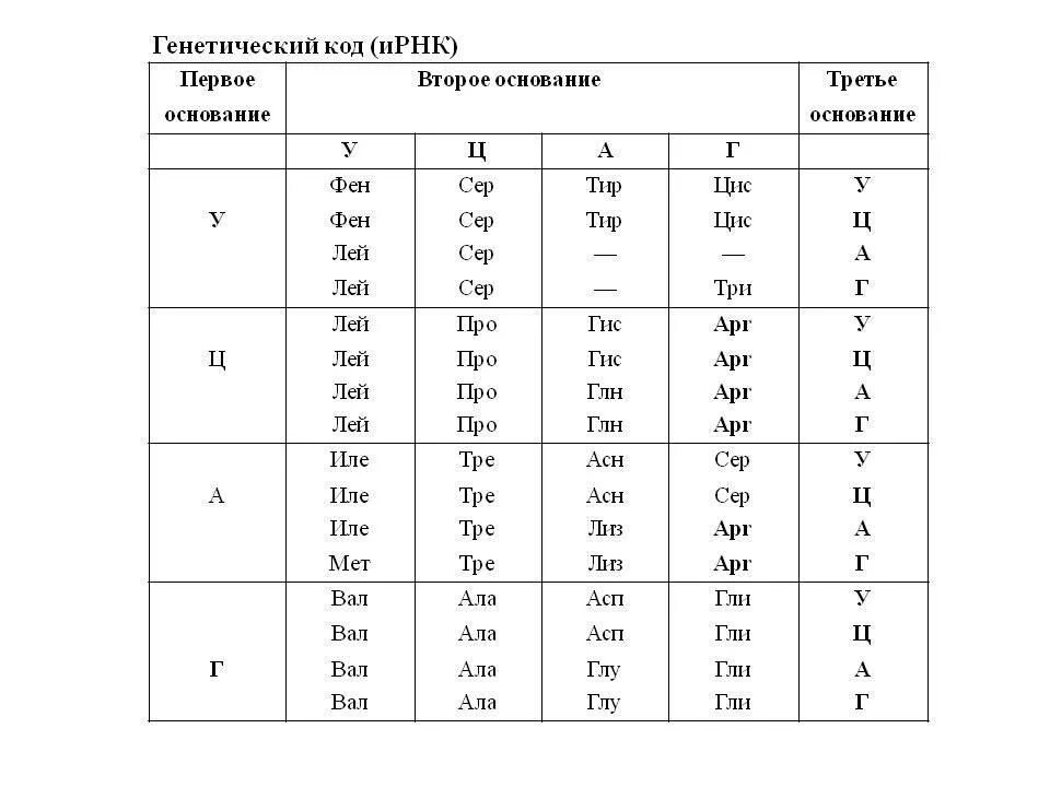 Белковый код. Генетический код ИРНК таблица. Генетический код ИРНК от 5 к 3 концу. Таблица генетический код биология. Таблица генетического кода ФИПИ.