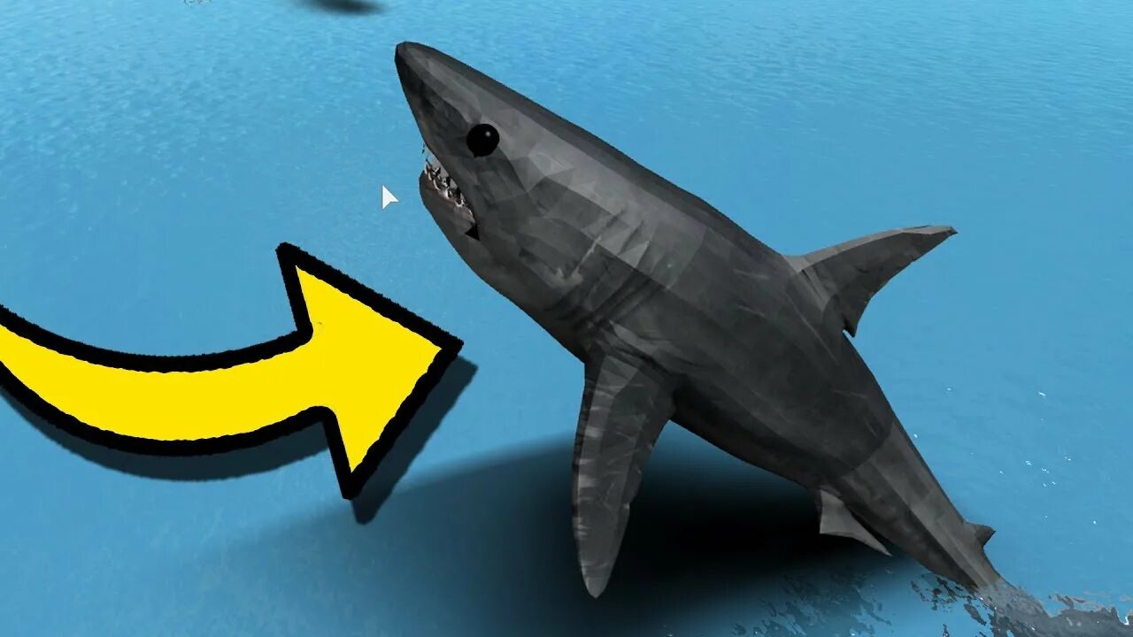 Акула из РОБЛОКСА. Sharkbite игра. Акулы из Sharkbite. Акула из 3008. Rekin 3d