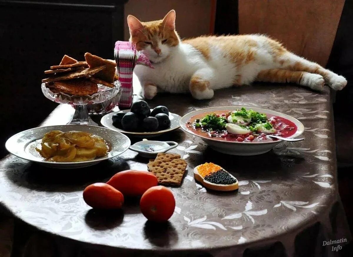 Праздник есть что хочешь