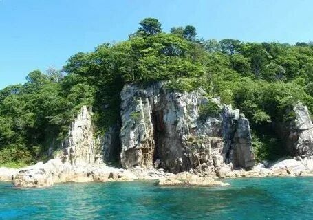 Деревья более 1000 лет на японском море