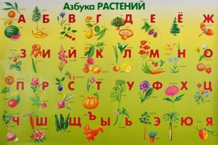 Азбука растений. Растения на букву а. Азбука картинка для детей. Алфавит цветов. Придумайте азбуку цветов или азбуку сказочных героев