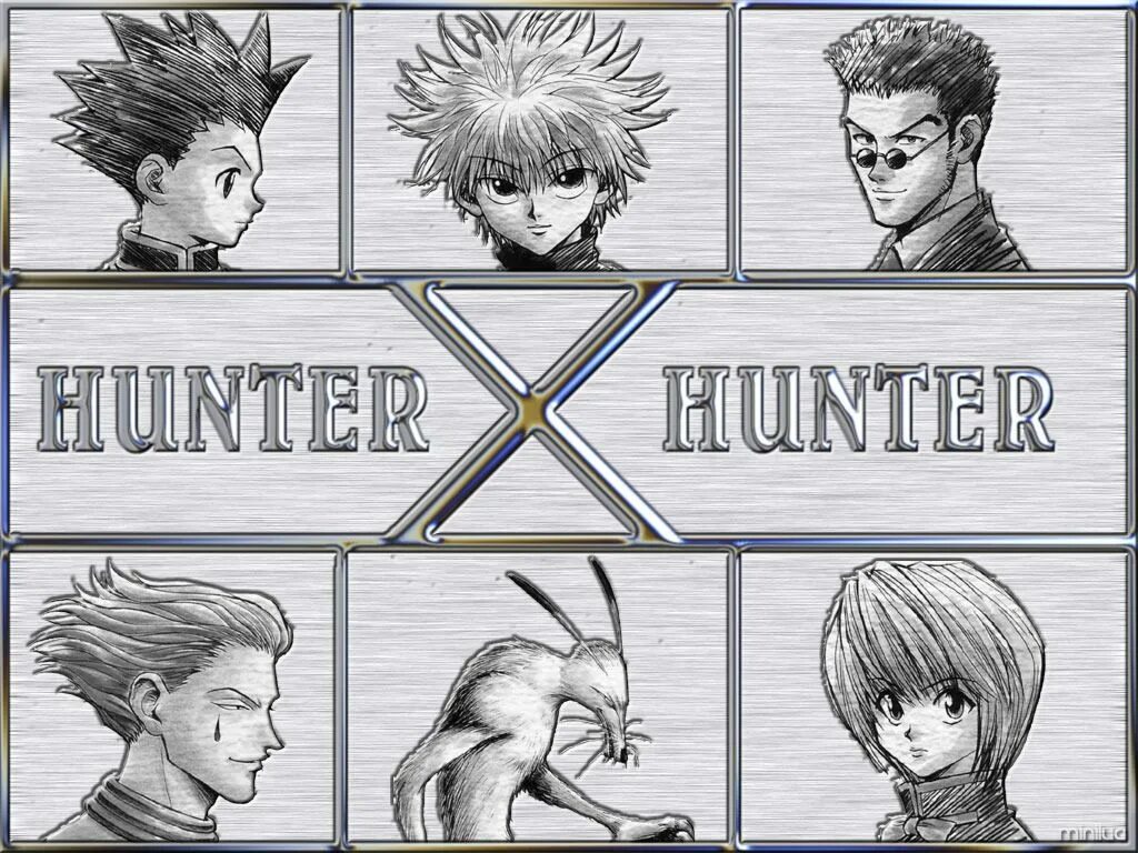 Хантер рейтинг. Хантер Икс Хантер. Hunter x Hunter фреймы.