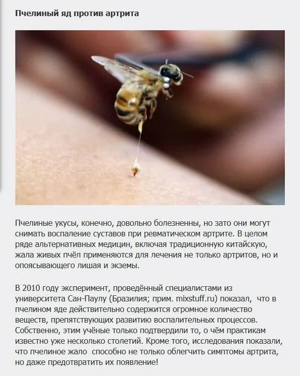 Снять укус пчелы. Жало пчелы чем полезен. Странные методы лечения.