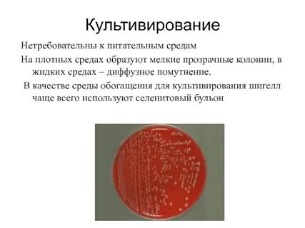 Среда для культивирования