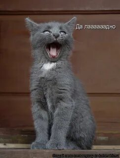 Ля ля ля 3