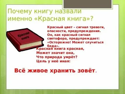 Почему книги называют великим чудом