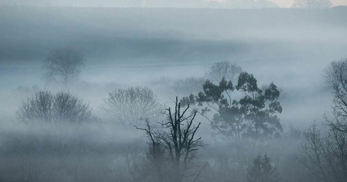 Calm weather. Foggy weather. флешкард fog. foggy weather картинка. foggy cartoon.