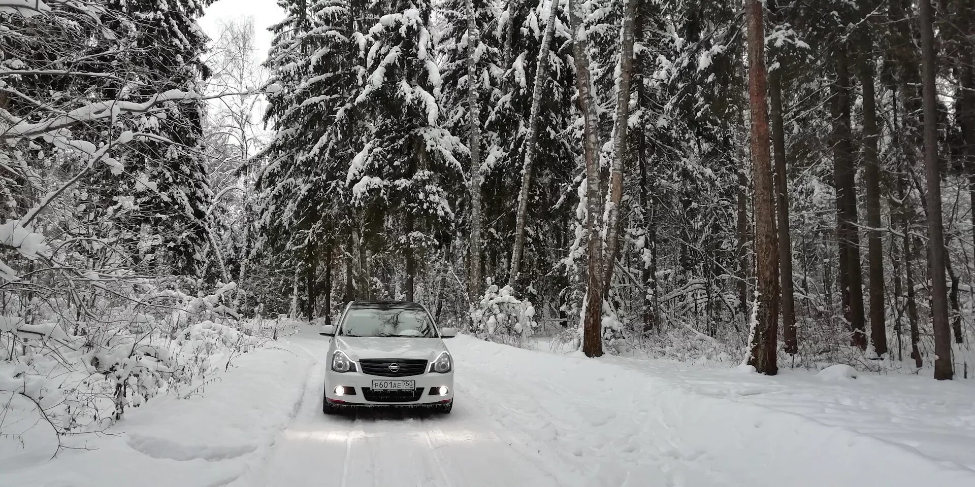 Range rover sport 2014. Мазда 3 зима. Зимний лес машина. Машина зима. Черная машина зимой.