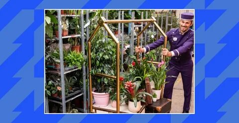 Plant hotel