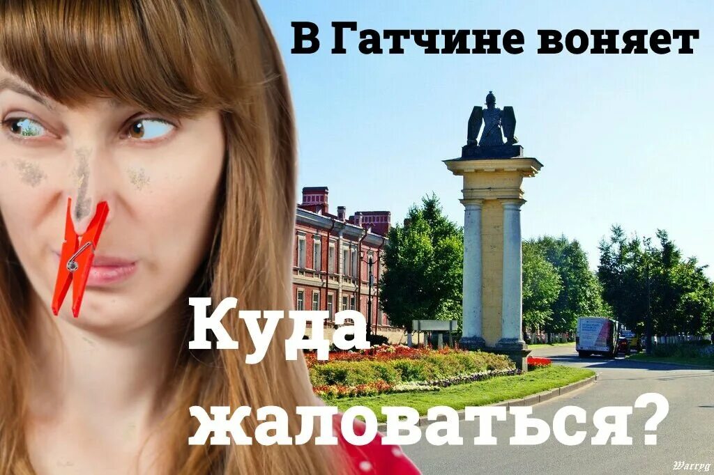 Куда воняет. Запах в Гатчине. Вонь в Гатчине. Почему в Гатчине воняет.