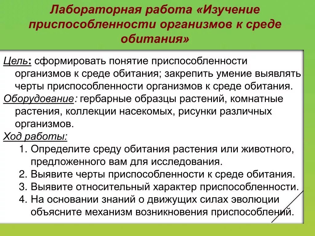 Изучение приспособленности организмов к определенной среде обитания. Изучение приспособленности организмов к среде. Приспособления организмов. Черты приспособленности организмов. Изучение приспособления организмов к среде обитания.