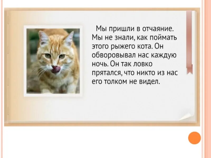 План к рассказу кот ворюга 3 класс. Рассказ о коте ворюге. Паустовский к. "кот-ворюга". Кот-ворюга Паустовский план. Пересказ рассказа кот ворюга.