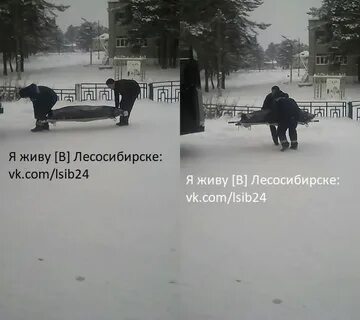 Я живу в лесосибирске