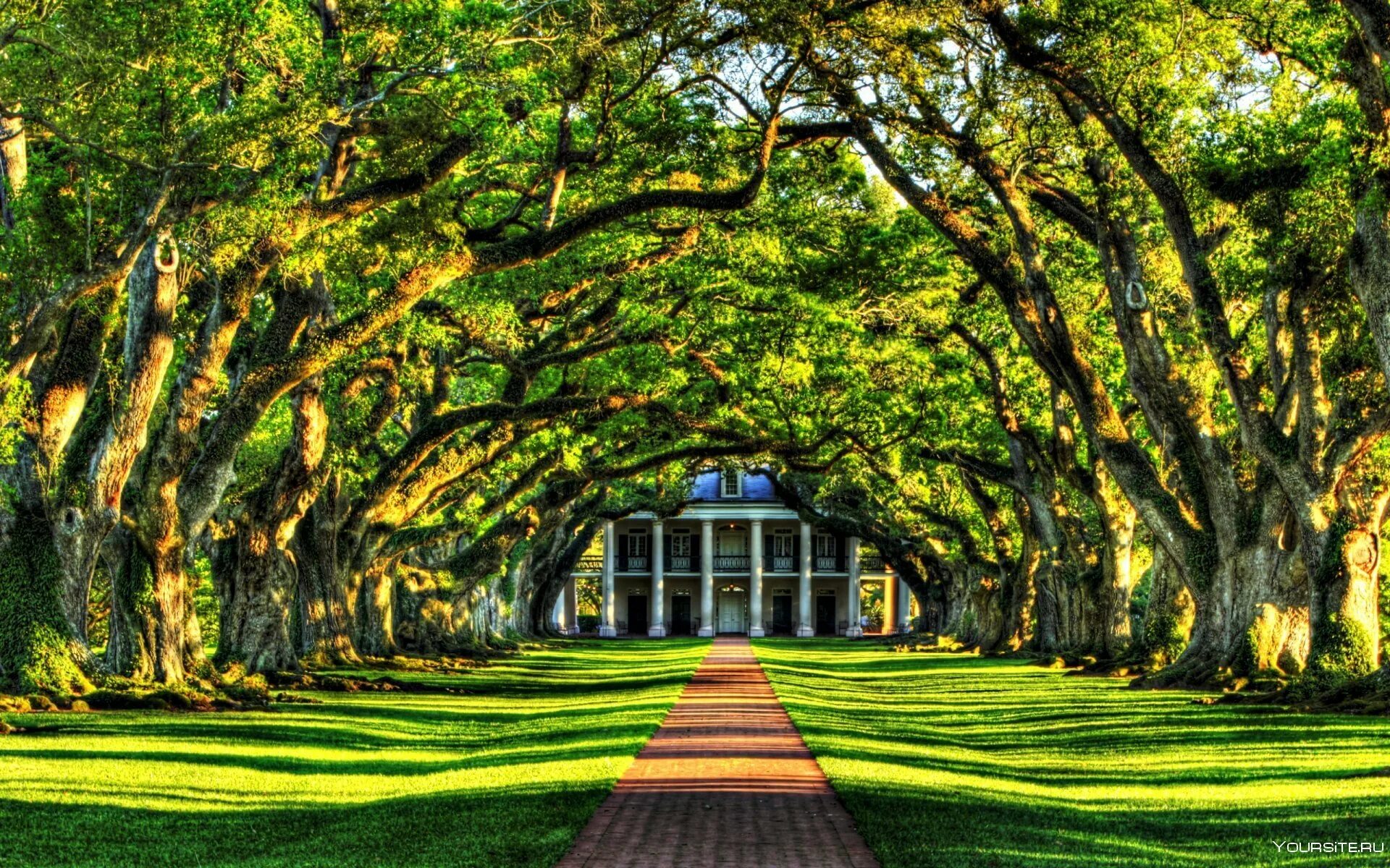 Дубовая аллея Луизиана. Плантация дубовая аллея Луизиана. Поместье дубовая аллея. Парк Стоун Англия аллея. Красивые зеленые места