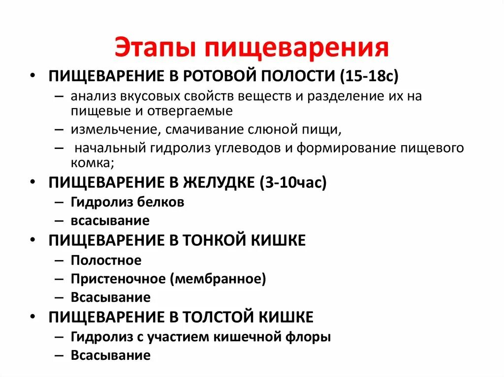 Назовите ферменты ротовой полости. Перечислите этапы процесса пищеварения. Типы пищеварения основные этапы пищеварения физиология. Назовите основные этапы процесса пищеварения. Опишите основные этапы процесса пищеварения.