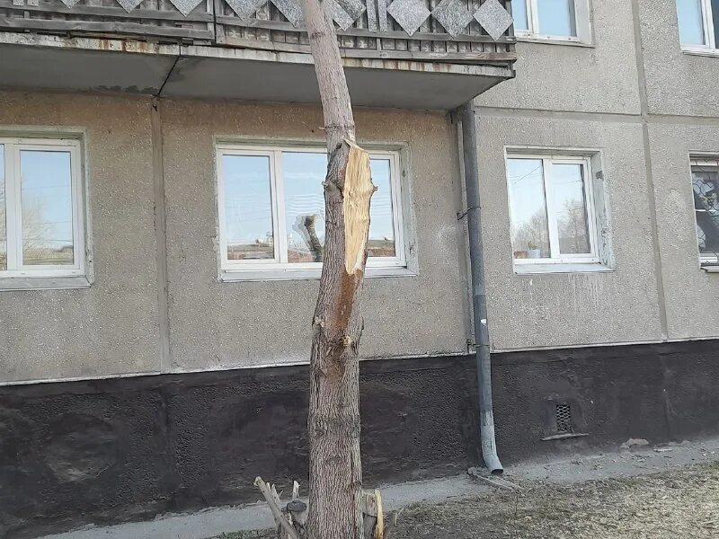 Ангарский коррупционер. Мусор в доме. Газета 1941 года. Газета 1941 года. Площадь мичурина реконструкция.