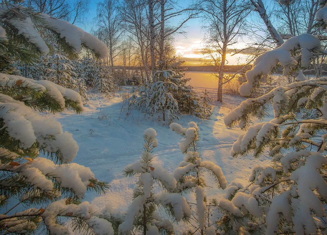 Зимний пейзаж. Декабрь природа. Красивая зима. Зимний день. Просто зимний день