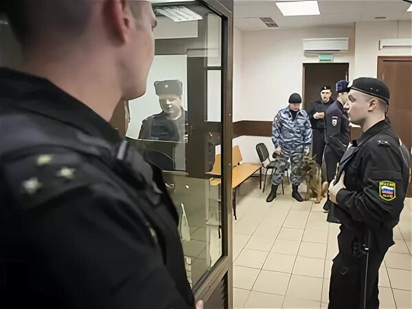 Судебные приставы зеленоград