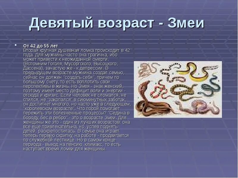 Змея Продолжительность жизни. Срок жизни змей. Продолжительность жизни змеи. Возраст змеи по человеческим.