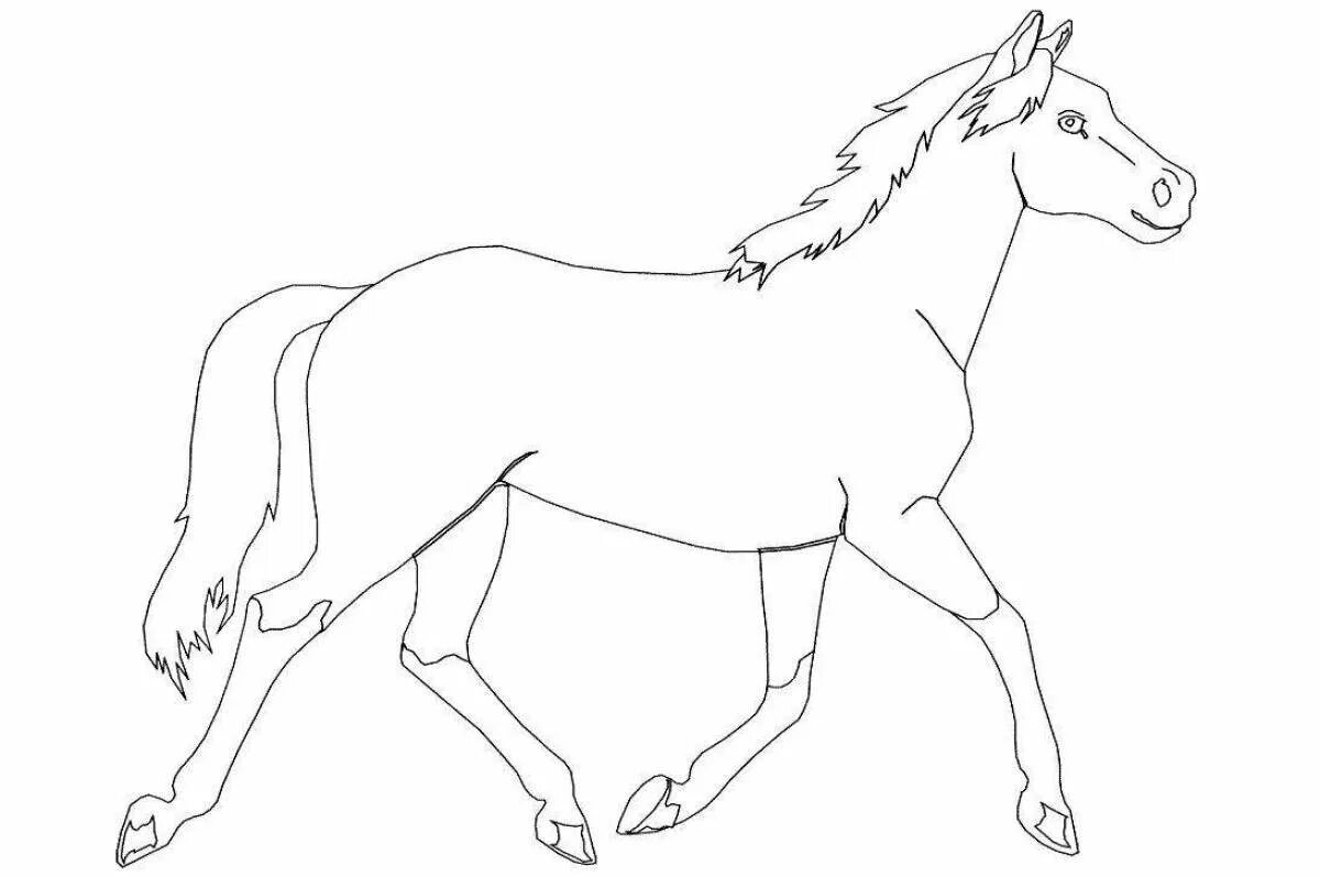 Лошадка для рисования. Раскраска. Лошади. Картинки для раскрашивания лошадки. Лошадь раскраска для детей. Лошадь рисунок.