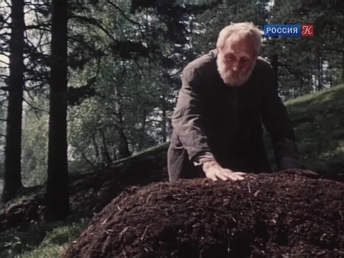 Вечный зов 2 4. Вечный зов 2 сезон. вечный зов фильм 2 6 серия. вечный зов сезон 6 серия. вечный зов 2 серия.