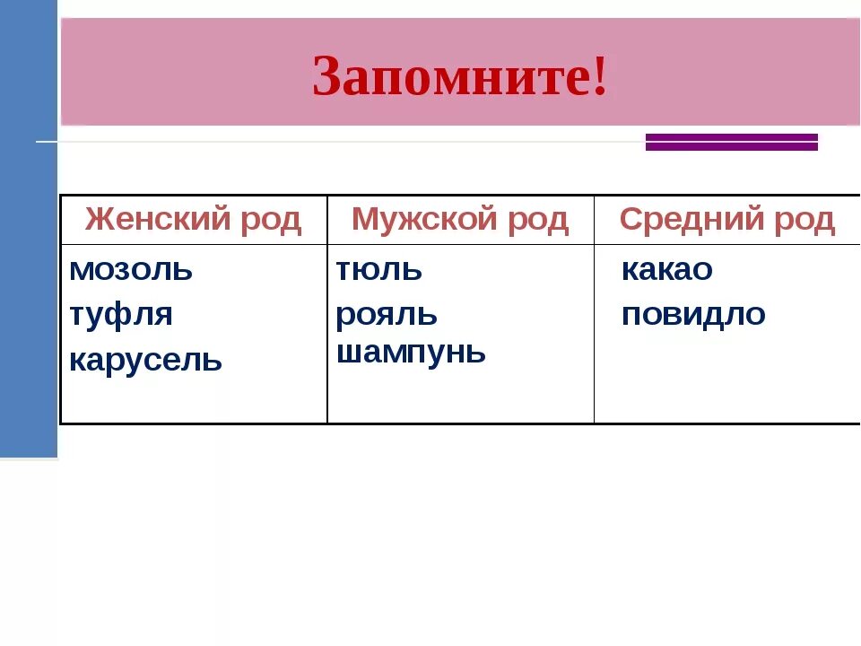 Мужской и женский род. Какого рода слово тюль в русском языке. Тюль род существительного. Род имен существительных тюль. Род существительных тюль шампунь.