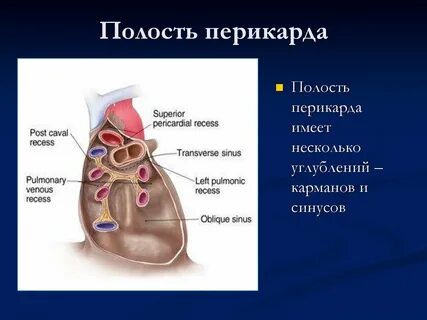 Полость перикарда
