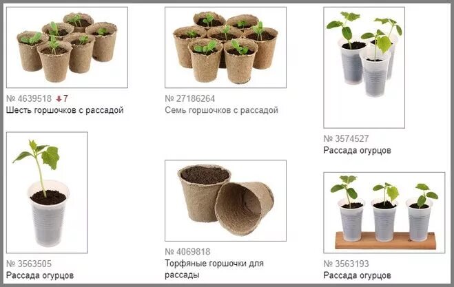 торфяные горшочки для рассады плюсы и минусы