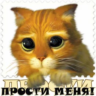 Сорри простите