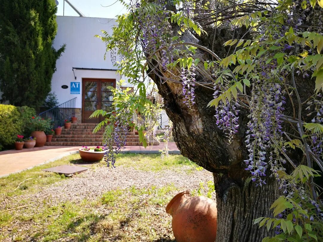 Dónde está la finca la cantora