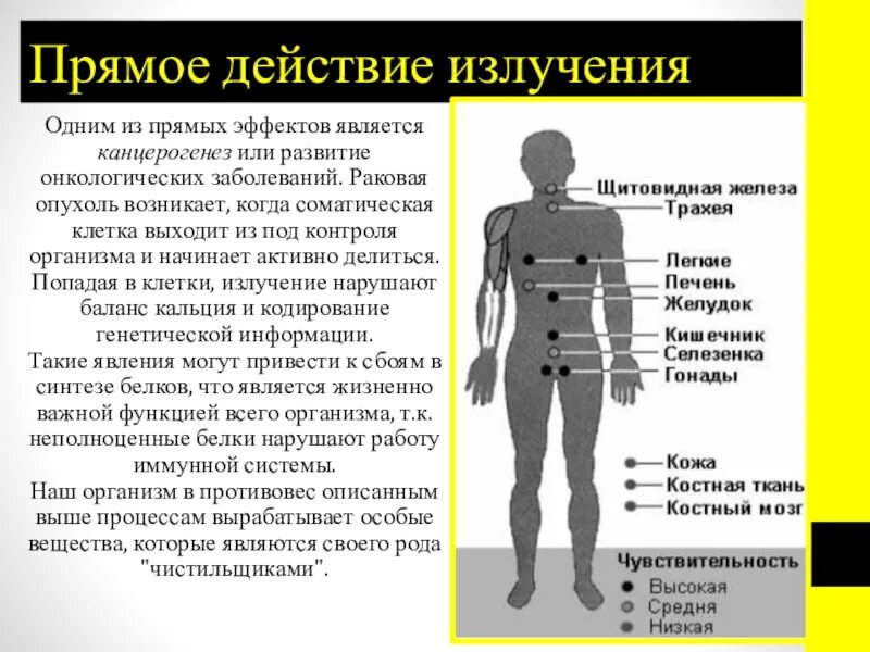 Воздействие радиационного излучения на живые организмы. Влияние радиации на живые организмы. Влияние радиоактивных излучений на живые организмы. Влияние ионизирующих излучений на живые организмы. Негативное воздействие радиации на живые организмы