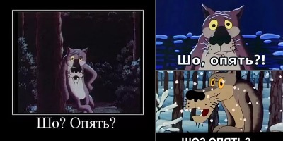 волк шо опять картинки
