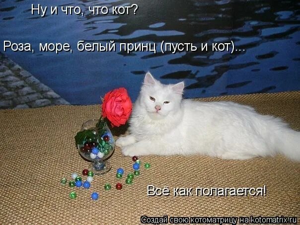 ну исполни. ой все мем. мем руки в стороны. исполню любое твое желание. ничего картинка смешная.